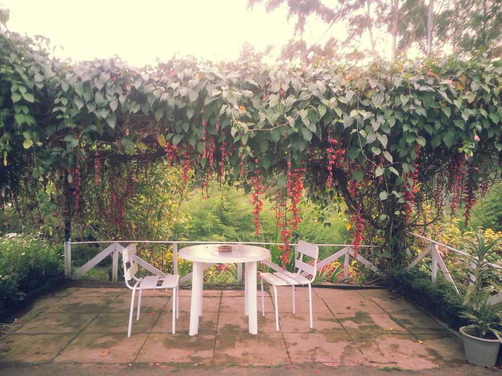 20130310_175659.jpg