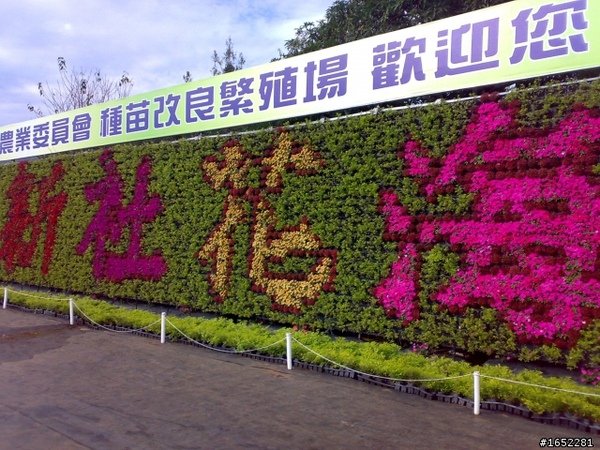 2010 新社 花海節.jpg