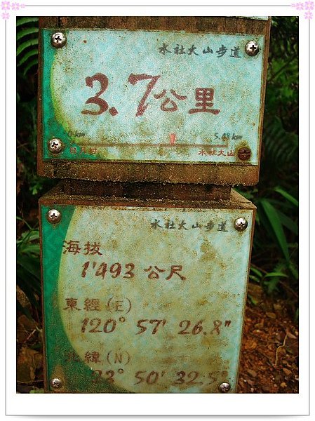 2010-08-08 日月潭--水社大山 14.JPG