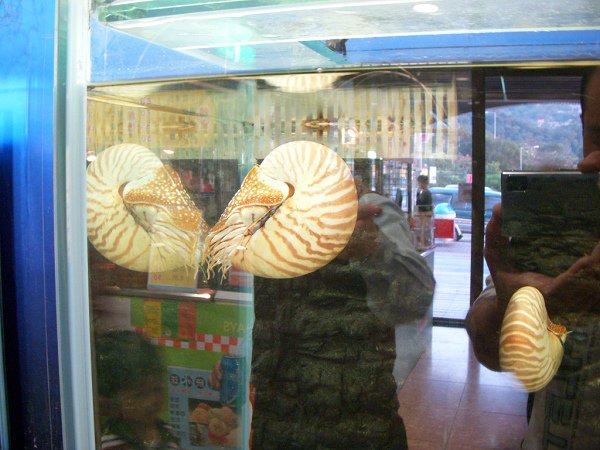 DSCN2971.jpg