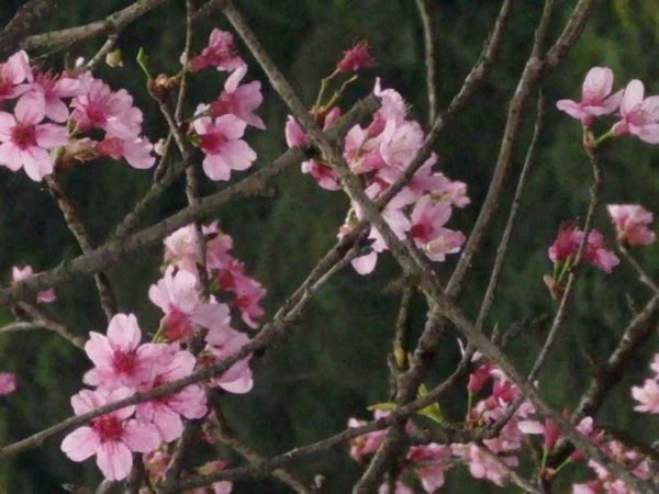 IMG_0046.jpg