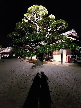 日本之旅(六)【28／04／2024】