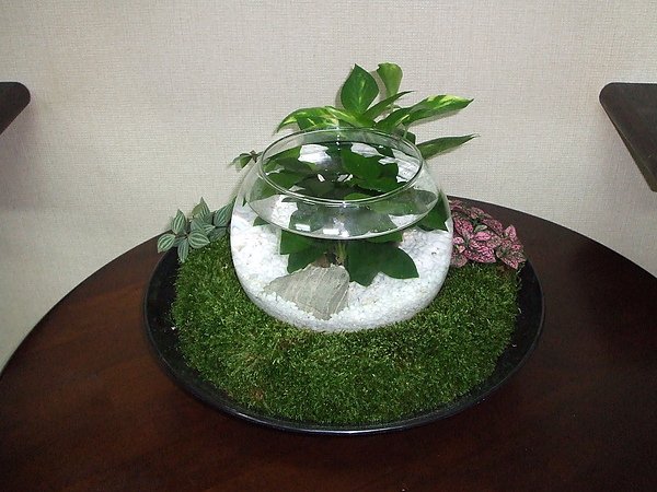 風水魚缸 002.jpg