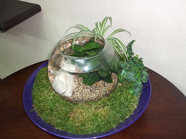 風水魚缸 009.jpg