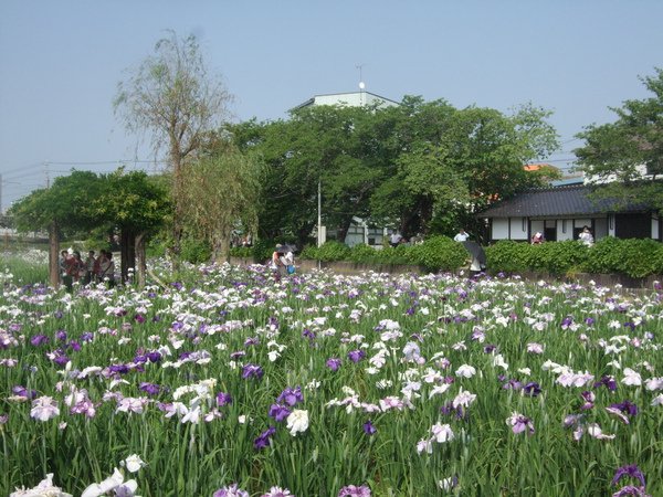 DSCF2783.JPG
