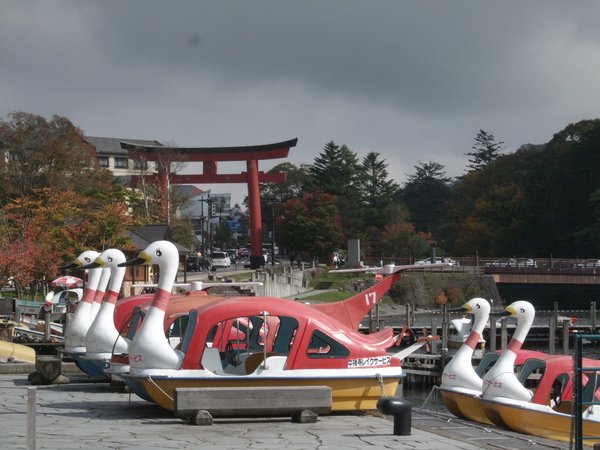 DSCF6078.JPG