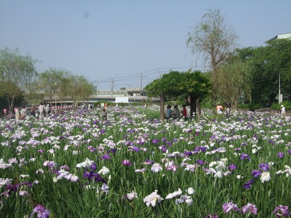 DSCF2781.JPG
