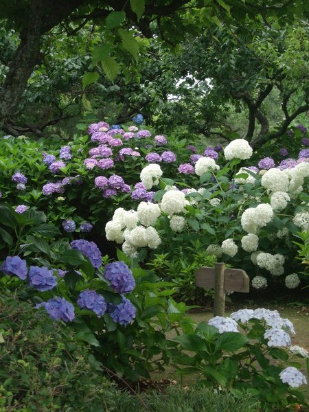 DSCF3156.JPG