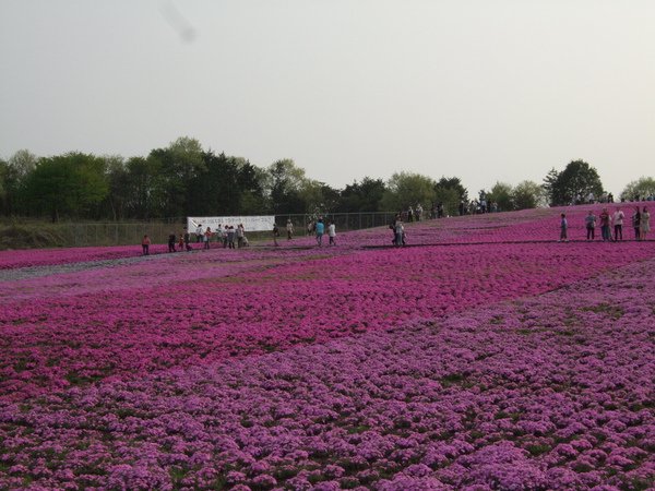 DSCF1564.JPG