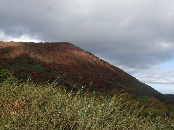 DSCF5865.JPG
