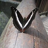 IMG_1365.JPG