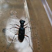 IMG_1428.JPG