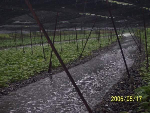 100_3142.JPG