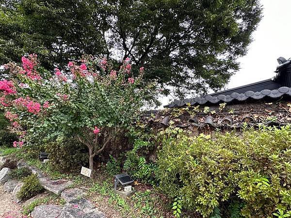 慶州校村是慶州市所建設的韓屋村，位於慶州歷史遺跡區的周圍，村內坐落著重要民俗文化財第27號「慶州崔氏古宅」，還能品嚐重要無形文化財第86-3號「慶州校洞法酒」和慶州鄉校等過去歷史的生活場域。 