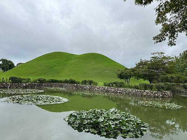 大陵苑是新羅時代王陵公園裡古墓規模最大、最密集的地點，匯聚23座大小古墳。是新羅王、王妃、貴族的埋葬地。因新羅時代的葬儀習俗、防止盜墓等因素，這裡的古墳並沒有立碑。寂靜的古墳之間設有步道，「皇南大塚」、「天馬塚」、「味鄒王陵」等景點皆散布在園內。其中「天馬塚」是大陵苑中唯一公開內部的古蹟。