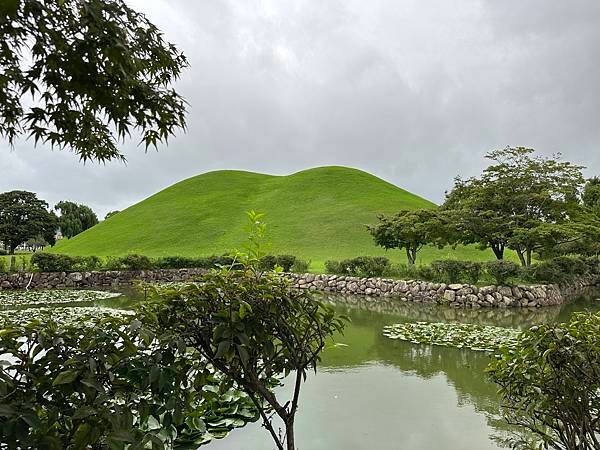 大陵苑是新羅時代王陵公園裡古墓規模最大、最密集的地點，匯聚23座大小古墳。是新羅王、王妃、貴族的埋葬地。因新羅時代的葬儀習俗、防止盜墓等因素，這裡的古墳並沒有立碑。寂靜的古墳之間設有步道，「皇南大塚」、「天馬塚」、「味鄒王陵」等景點皆散布在園內。其中「天馬塚」是大陵苑中唯一公開內部的古蹟。