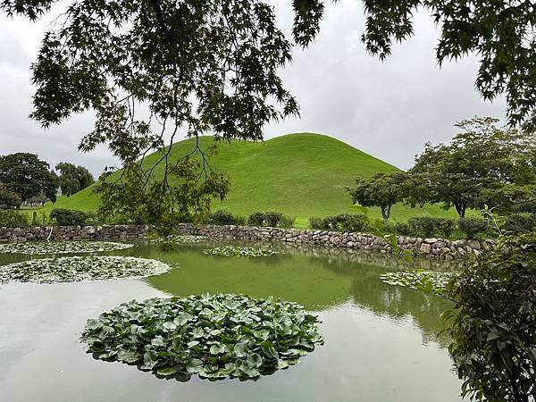 大陵苑是新羅時代王陵公園裡古墓規模最大、最密集的地點，匯聚23座大小古墳。是新羅王、王妃、貴族的埋葬地。因新羅時代的葬儀習俗、防止盜墓等因素，這裡的古墳並沒有立碑。寂靜的古墳之間設有步道，「皇南大塚」、「天馬塚」、「味鄒王陵」等景點皆散布在園內。其中「天馬塚」是大陵苑中唯一公開內部的古蹟。