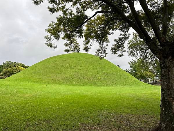 大陵苑是新羅時代王陵公園裡古墓規模最大、最密集的地點，匯聚23座大小古墳。是新羅王、王妃、貴族的埋葬地。因新羅時代的葬儀習俗、防止盜墓等因素，這裡的古墳並沒有立碑。寂靜的古墳之間設有步道，「皇南大塚」、「天馬塚」、「味鄒王陵」等景點皆散布在園內。其中「天馬塚」是大陵苑中唯一公開內部的古蹟。