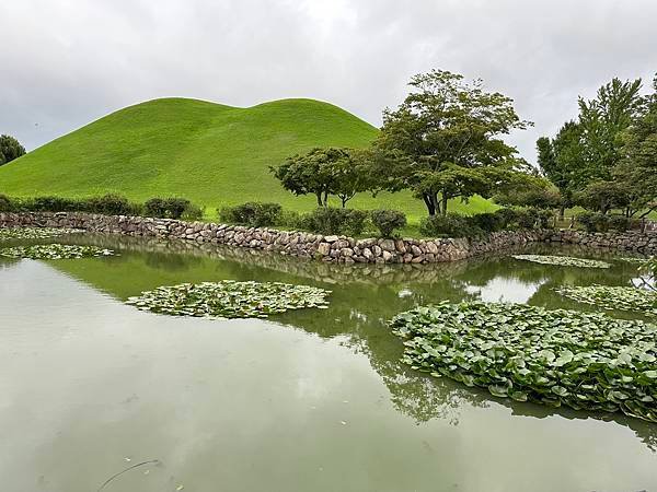 大陵苑是新羅時代王陵公園裡古墓規模最大、最密集的地點，匯聚23座大小古墳。是新羅王、王妃、貴族的埋葬地。因新羅時代的葬儀習俗、防止盜墓等因素，這裡的古墳並沒有立碑。寂靜的古墳之間設有步道，「皇南大塚」、「天馬塚」、「味鄒王陵」等景點皆散布在園內。其中「天馬塚」是大陵苑中唯一公開內部的古蹟。