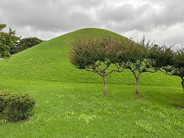 大陵苑是新羅時代王陵公園裡古墓規模最大、最密集的地點，匯聚23座大小古墳。是新羅王、王妃、貴族的埋葬地。因新羅時代的葬儀習俗、防止盜墓等因素，這裡的古墳並沒有立碑。寂靜的古墳之間設有步道，「皇南大塚」、「天馬塚」、「味鄒王陵」等景點皆散布在園內。其中「天馬塚」是大陵苑中唯一公開內部的古蹟。