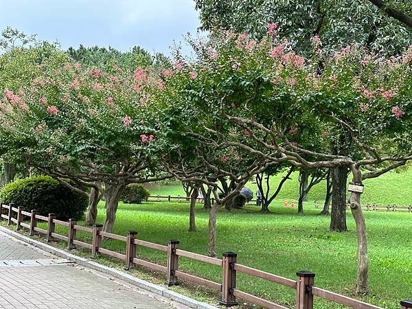 大陵苑是新羅時代王陵公園裡古墓規模最大、最密集的地點，匯聚23座大小古墳。是新羅王、王妃、貴族的埋葬地。因新羅時代的葬儀習俗、防止盜墓等因素，這裡的古墳並沒有立碑。寂靜的古墳之間設有步道，「皇南大塚」、「天馬塚」、「味鄒王陵」等景點皆散布在園內。其中「天馬塚」是大陵苑中唯一公開內部的古蹟。