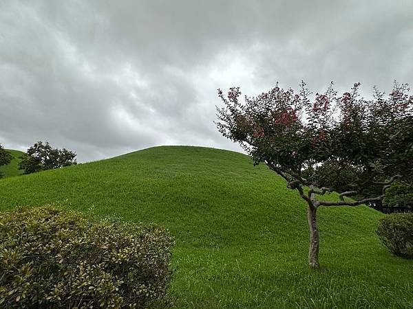 大陵苑是新羅時代王陵公園裡古墓規模最大、最密集的地點，匯聚23座大小古墳。是新羅王、王妃、貴族的埋葬地。因新羅時代的葬儀習俗、防止盜墓等因素，這裡的古墳並沒有立碑。寂靜的古墳之間設有步道，「皇南大塚」、「天馬塚」、「味鄒王陵」等景點皆散布在園內。其中「天馬塚」是大陵苑中唯一公開內部的古蹟。