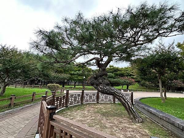 大陵苑是新羅時代王陵公園裡古墓規模最大、最密集的地點，匯聚23座大小古墳。是新羅王、王妃、貴族的埋葬地。因新羅時代的葬儀習俗、防止盜墓等因素，這裡的古墳並沒有立碑。寂靜的古墳之間設有步道，「皇南大塚」、「天馬塚」、「味鄒王陵」等景點皆散布在園內。其中「天馬塚」是大陵苑中唯一公開內部的古蹟。