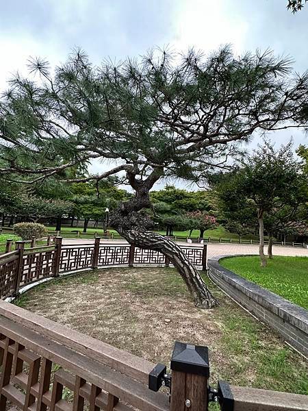 大陵苑是新羅時代王陵公園裡古墓規模最大、最密集的地點，匯聚23座大小古墳。是新羅王、王妃、貴族的埋葬地。因新羅時代的葬儀習俗、防止盜墓等因素，這裡的古墳並沒有立碑。寂靜的古墳之間設有步道，「皇南大塚」、「天馬塚」、「味鄒王陵」等景點皆散布在園內。其中「天馬塚」是大陵苑中唯一公開內部的古蹟。