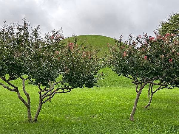 大陵苑是新羅時代王陵公園裡古墓規模最大、最密集的地點，匯聚23座大小古墳。是新羅王、王妃、貴族的埋葬地。因新羅時代的葬儀習俗、防止盜墓等因素，這裡的古墳並沒有立碑。寂靜的古墳之間設有步道，「皇南大塚」、「天馬塚」、「味鄒王陵」等景點皆散布在園內。其中「天馬塚」是大陵苑中唯一公開內部的古蹟。