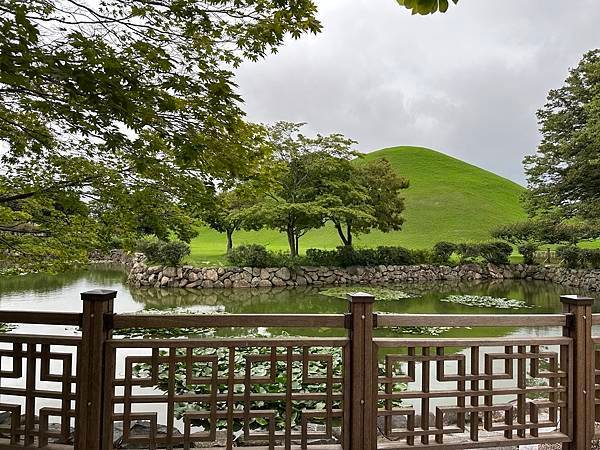 大陵苑是新羅時代王陵公園裡古墓規模最大、最密集的地點，匯聚23座大小古墳。是新羅王、王妃、貴族的埋葬地。因新羅時代的葬儀習俗、防止盜墓等因素，這裡的古墳並沒有立碑。寂靜的古墳之間設有步道，「皇南大塚」、「天馬塚」、「味鄒王陵」等景點皆散布在園內。其中「天馬塚」是大陵苑中唯一公開內部的古蹟。