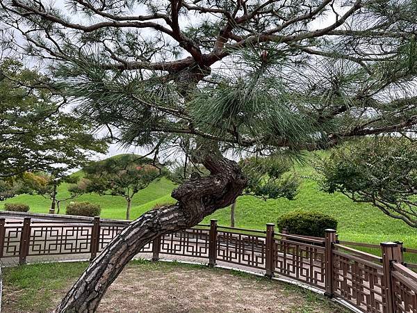 大陵苑是新羅時代王陵公園裡古墓規模最大、最密集的地點，匯聚23座大小古墳。是新羅王、王妃、貴族的埋葬地。因新羅時代的葬儀習俗、防止盜墓等因素，這裡的古墳並沒有立碑。寂靜的古墳之間設有步道，「皇南大塚」、「天馬塚」、「味鄒王陵」等景點皆散布在園內。其中「天馬塚」是大陵苑中唯一公開內部的古蹟。