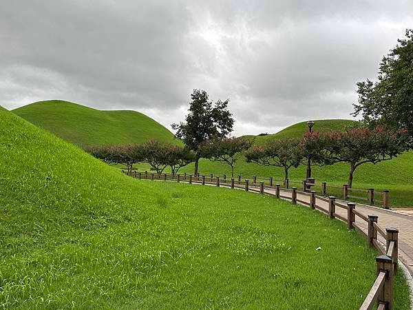 大陵苑是新羅時代王陵公園裡古墓規模最大、最密集的地點，匯聚23座大小古墳。是新羅王、王妃、貴族的埋葬地。因新羅時代的葬儀習俗、防止盜墓等因素，這裡的古墳並沒有立碑。寂靜的古墳之間設有步道，「皇南大塚」、「天馬塚」、「味鄒王陵」等景點皆散布在園內。其中「天馬塚」是大陵苑中唯一公開內部的古蹟。