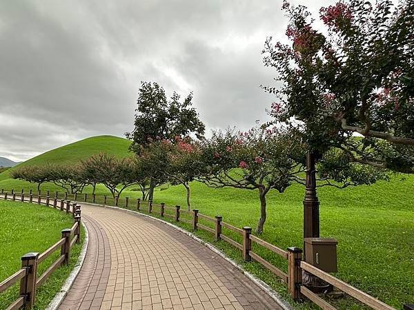 大陵苑是新羅時代王陵公園裡古墓規模最大、最密集的地點，匯聚23座大小古墳。是新羅王、王妃、貴族的埋葬地。因新羅時代的葬儀習俗、防止盜墓等因素，這裡的古墳並沒有立碑。寂靜的古墳之間設有步道，「皇南大塚」、「天馬塚」、「味鄒王陵」等景點皆散布在園內。其中「天馬塚」是大陵苑中唯一公開內部的古蹟。