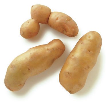 fingerling potatoes.jpg