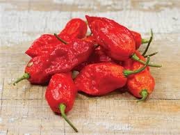 Bhut jolokia.jpg