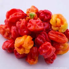 Scotch bonnet.jpg