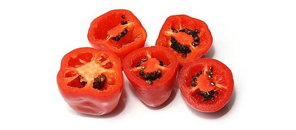 rocoto-peppers-shu.jpg