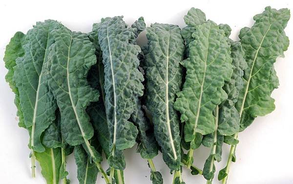 kale.jpg