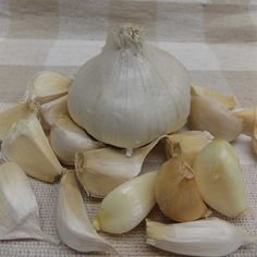 Northern White garlic.jpg