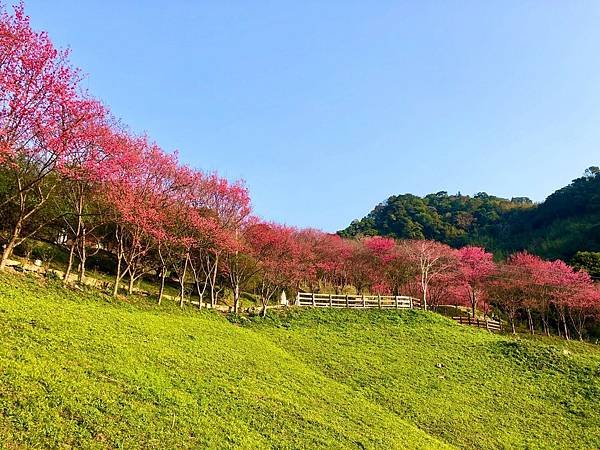 2021桃園森林系輕旅行：翠墨莊園