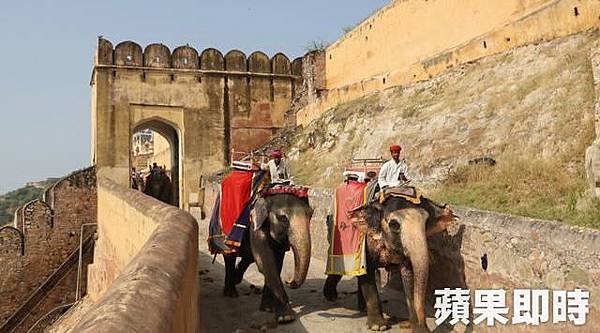 因城堡位在高處，遊客可以選擇搭乘大象登堡，動保人士當然也可以選擇步行或搭吉普車上山。 2016 蘋果日報／愛玩姐。世群旅行社