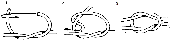341e8741-ff3e-405d-b85b-981ed100a51b