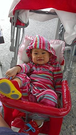 IMAG5242
