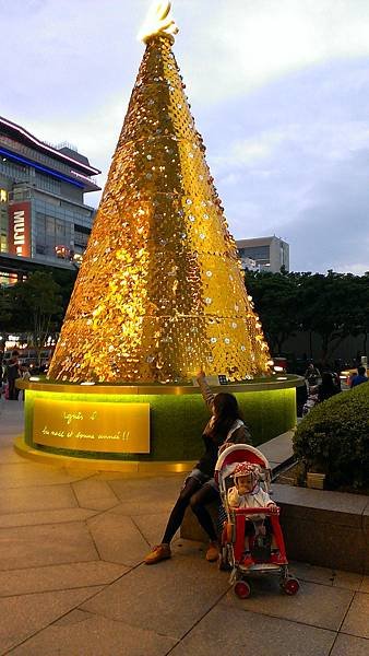 IMAG7817