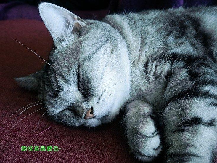 卡比咖啡