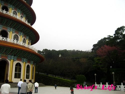 nEO_IMG_IMG_6254
