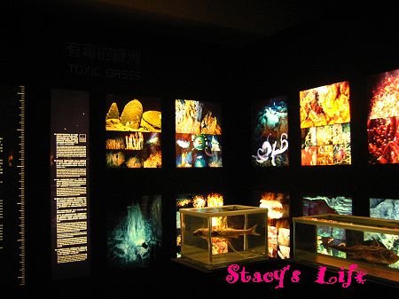 nEO_IMG_博物館三峽 128