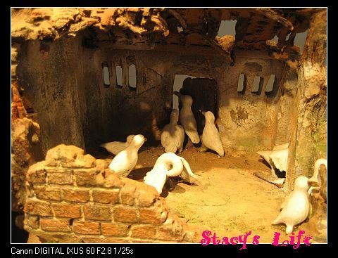 nEO_IMG_陶瓷鶯歌博物館 093