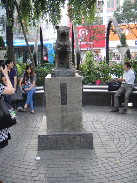 DSC04493.jpg