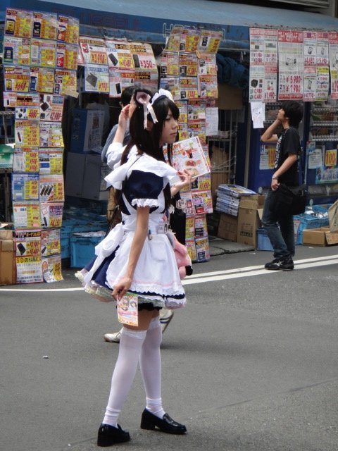 DSC03713.jpg